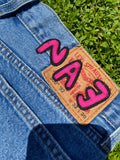Phlamingo Jorts (1 of 1)