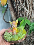 Daffoldilia Sunwhim